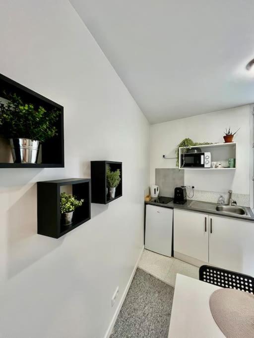 Studio 3 Rue Theodore Bac - Dabnb Лімож Екстер'єр фото